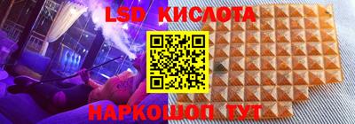 прущие грибы Апшеронск