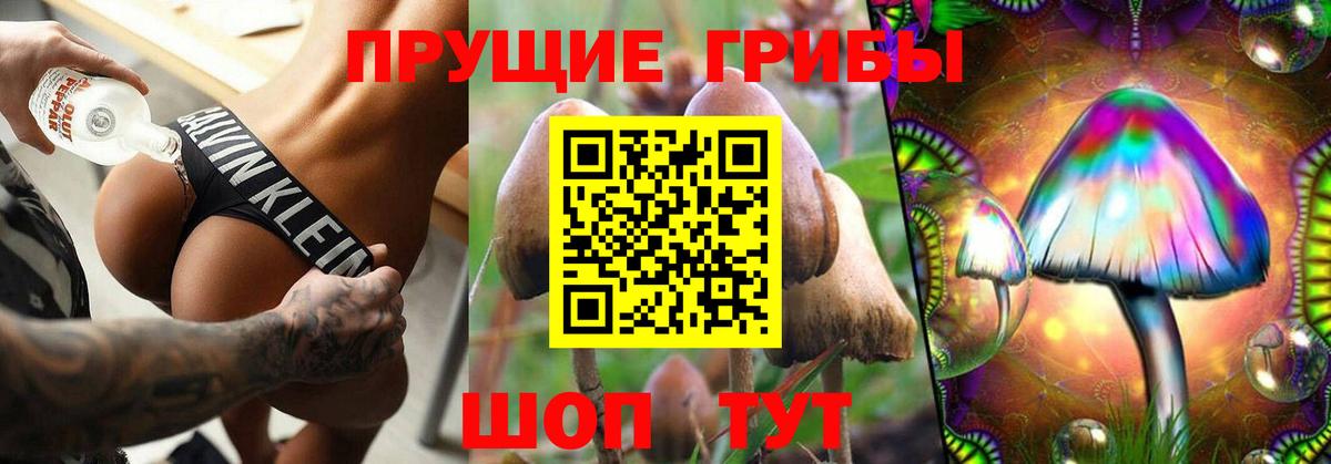 Большой Камень  Псилоцибиновые грибы прущие грибы  Вход с VPN  Галлюциногенные грибы GOLDEN TEACHER 